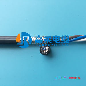 防海水电缆_柔性防腐蚀电缆